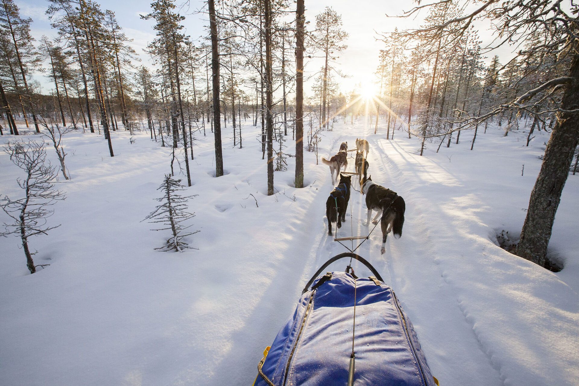 Hundspann, Storuman
